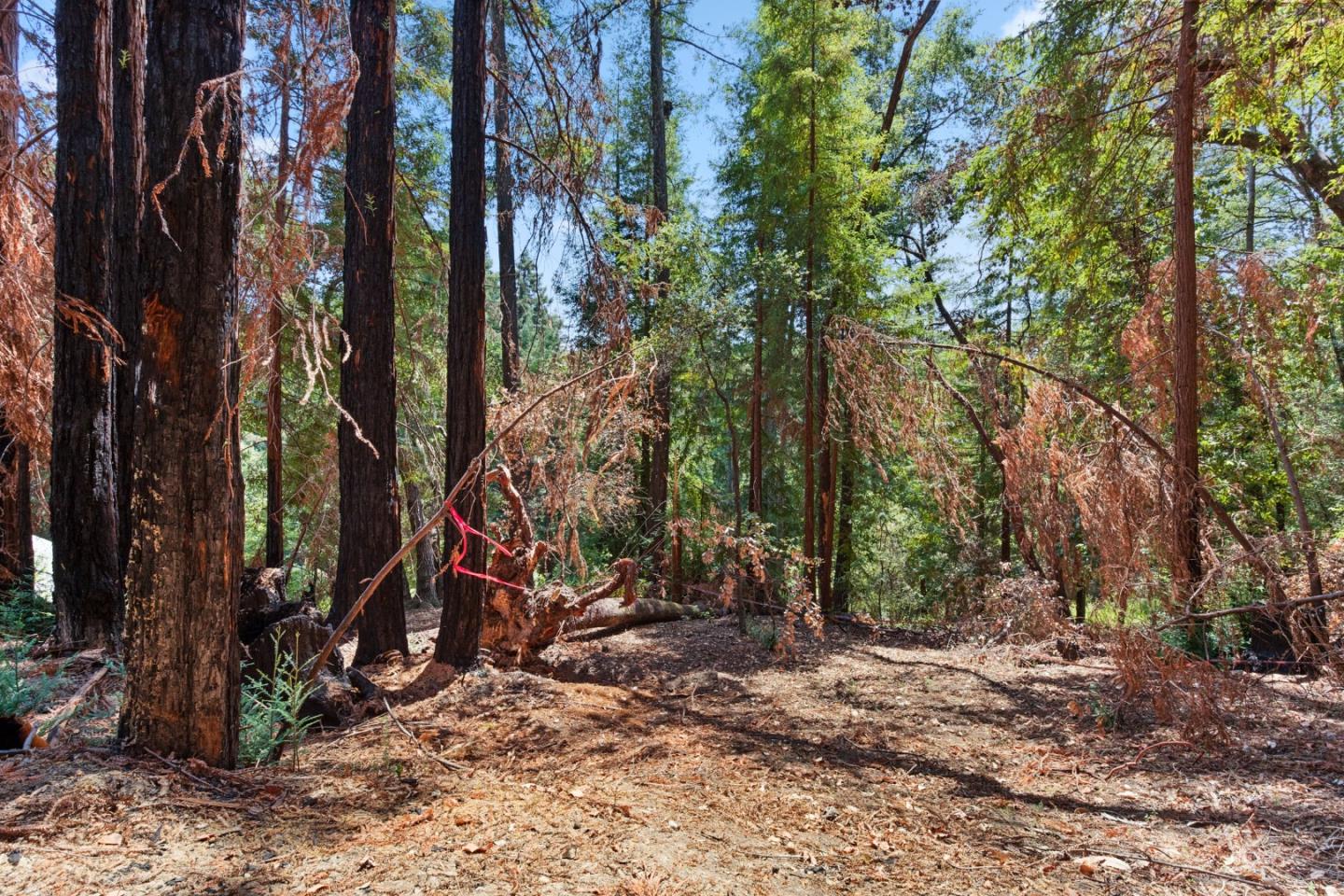 565 Locksley Road, BOULDER CREEK, California 95006, ,Lots And Land,For Sale,Locksley Road,40967442