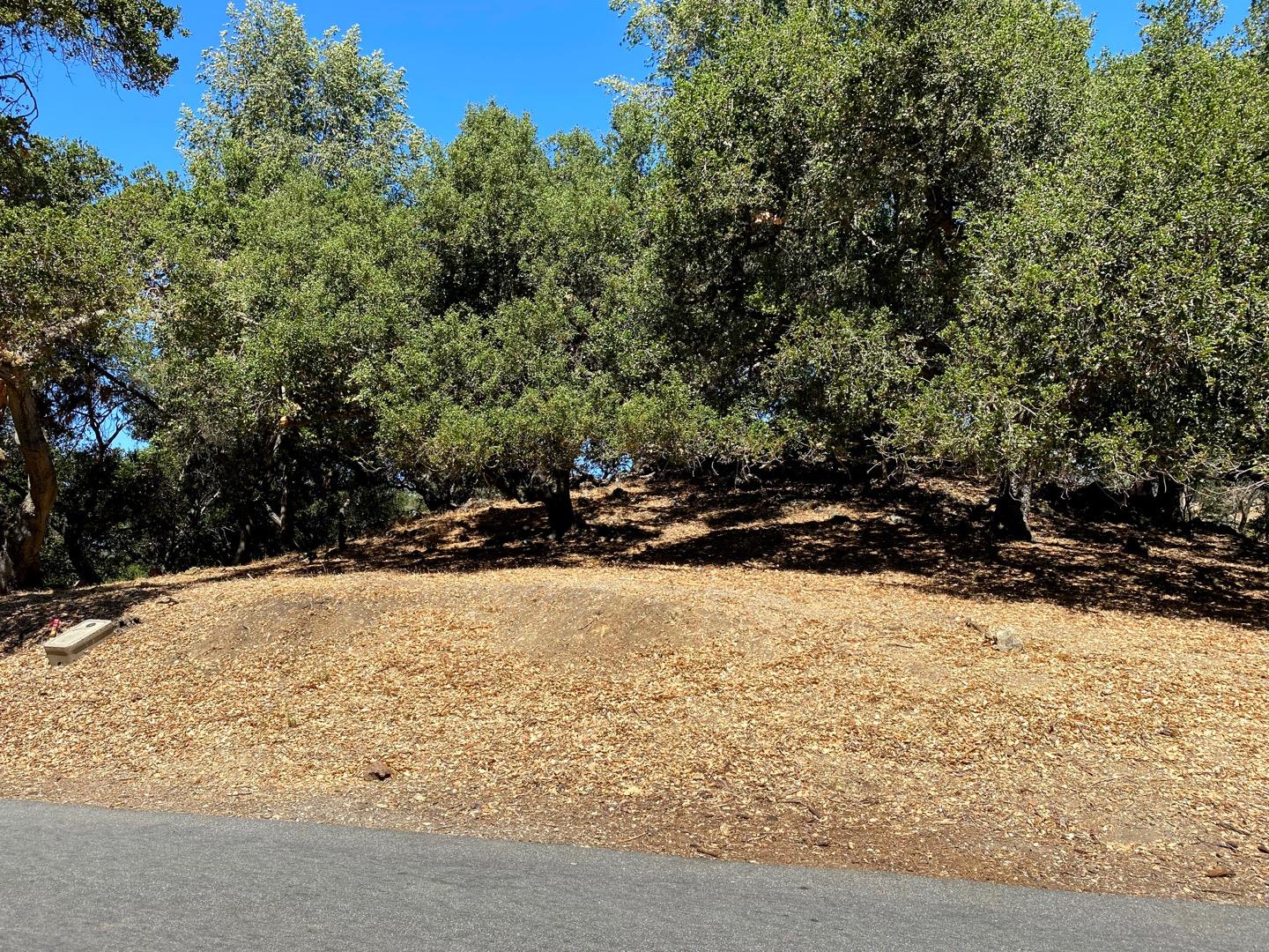 17700 Manzanita Drive, MORGAN HILL, California 95037, ,Lots And Land,For Sale,Manzanita Drive,40967454