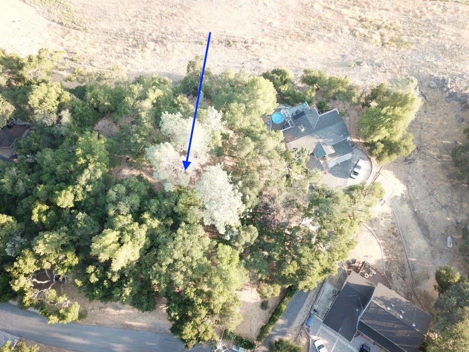 17700 Manzanita Drive, MORGAN HILL, California 95037, ,Lots And Land,For Sale,Manzanita Drive,40967454