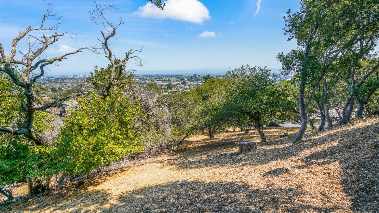 1260 Talbryn Drive, BELMONT, California 94002, ,Lots And Land,For Sale,Talbryn Drive,40967455
