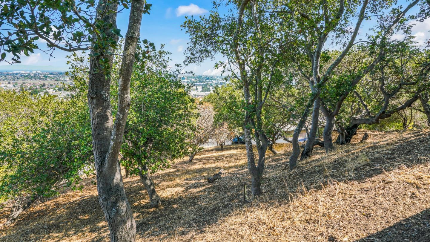 1260 Talbryn Drive, BELMONT, California 94002, ,Lots And Land,For Sale,Talbryn Drive,40967455