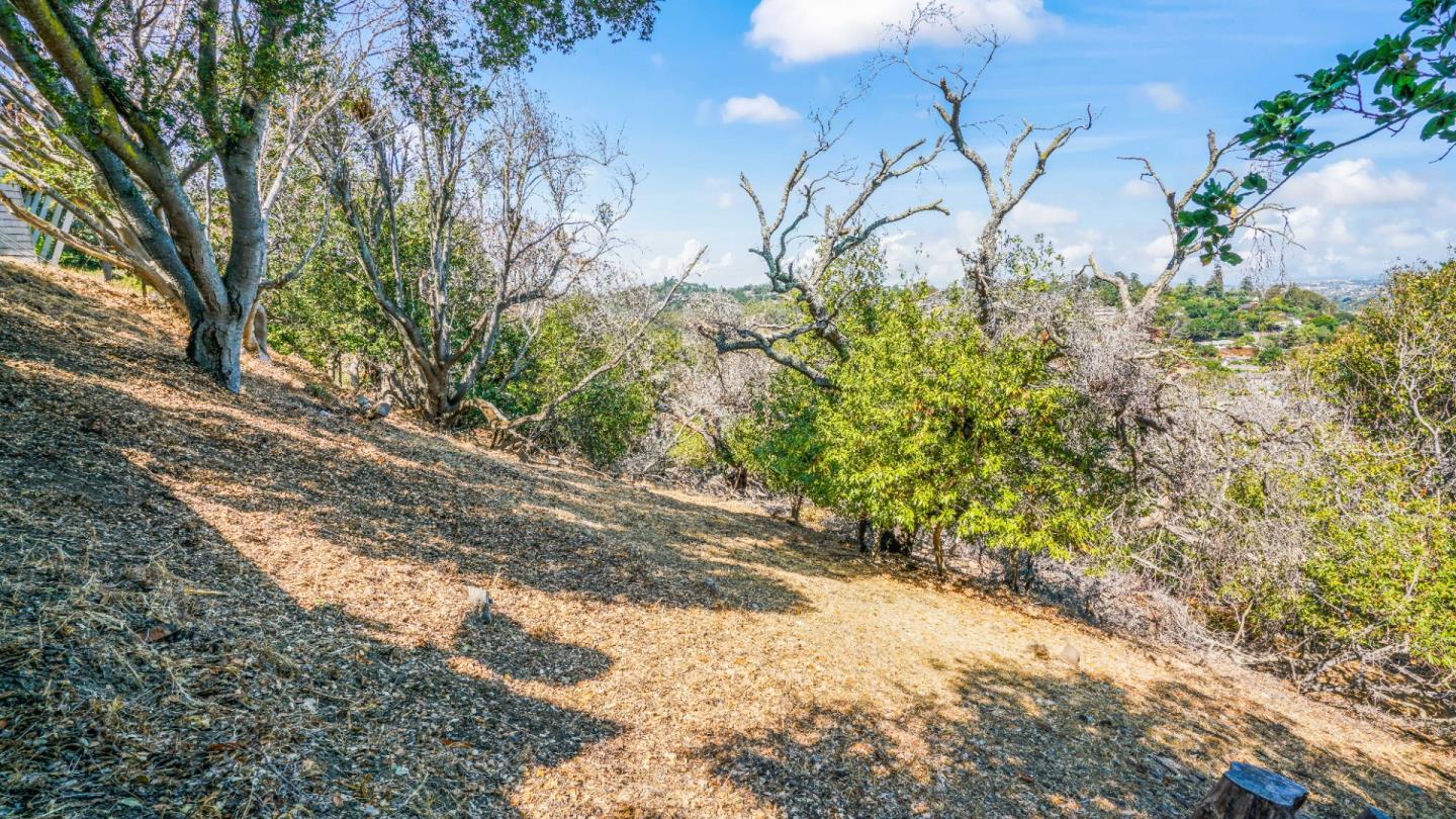 1260 Talbryn Drive, BELMONT, California 94002, ,Lots And Land,For Sale,Talbryn Drive,40967455
