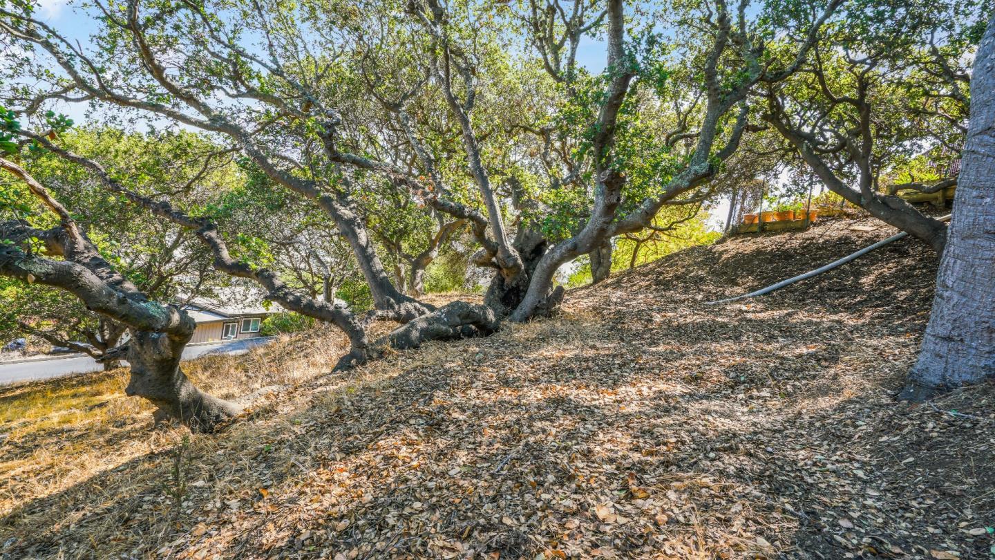 1260 Talbryn Drive, BELMONT, California 94002, ,Lots And Land,For Sale,Talbryn Drive,40967455