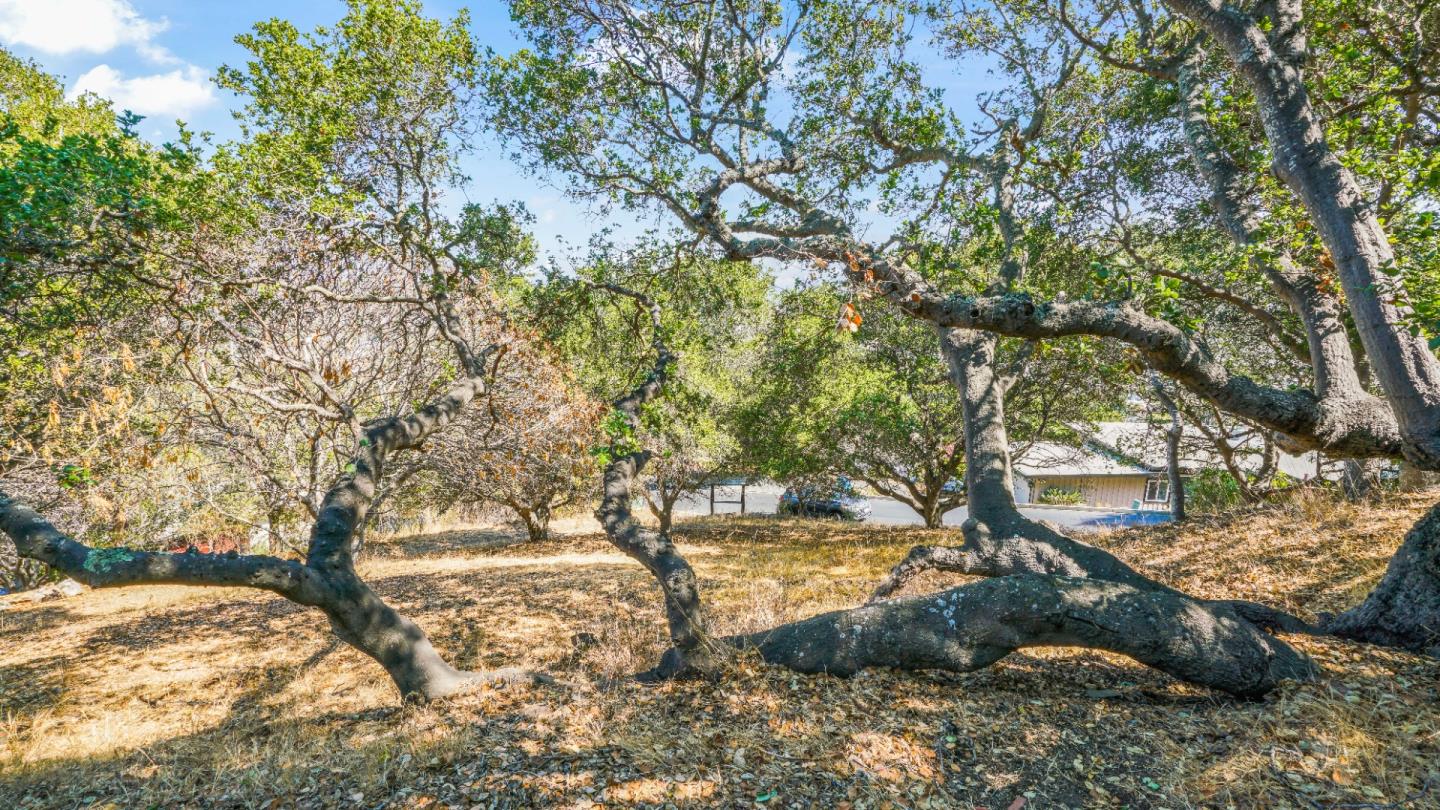 1260 Talbryn Drive, BELMONT, California 94002, ,Lots And Land,For Sale,Talbryn Drive,40967455