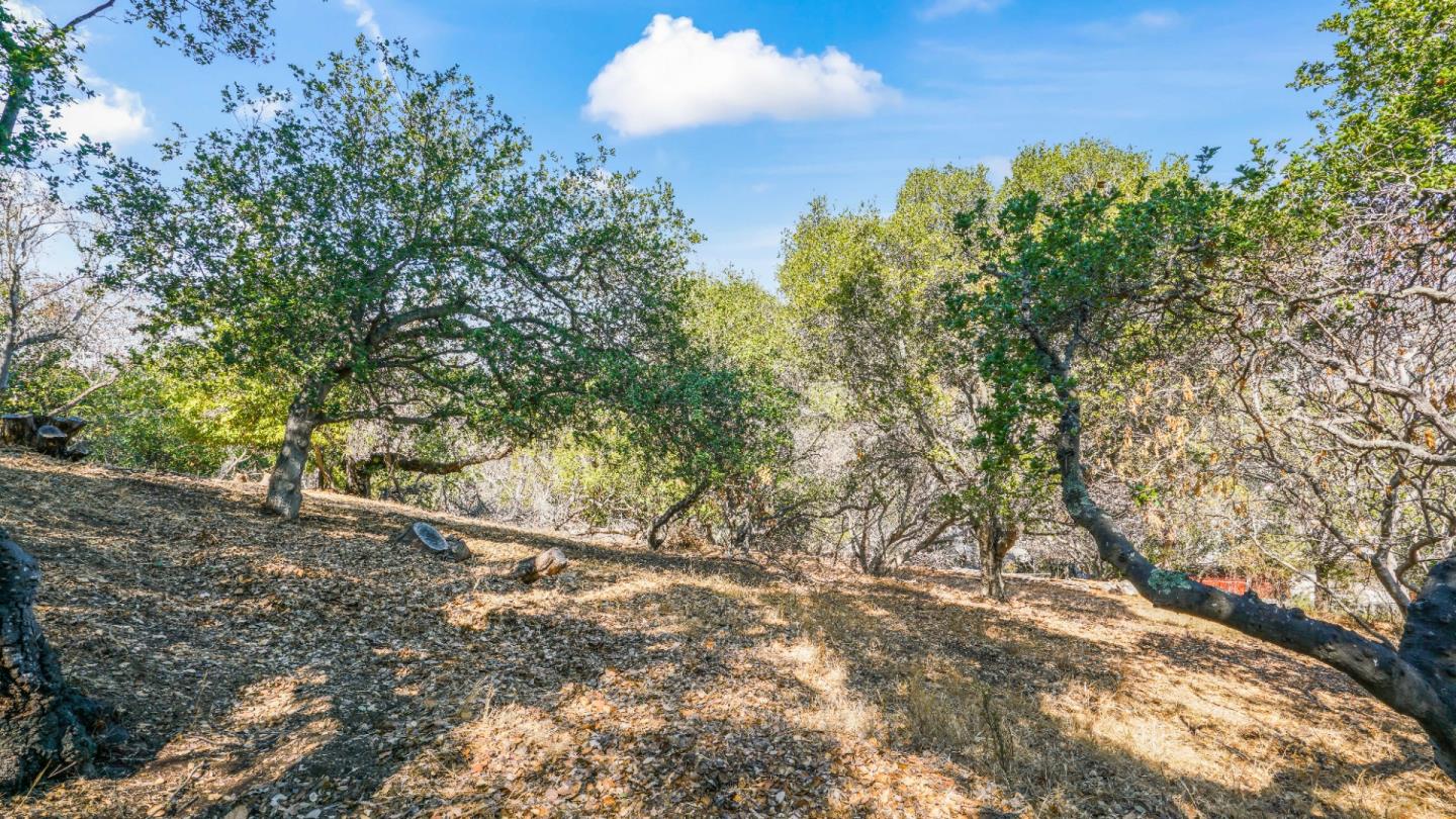 1260 Talbryn Drive, BELMONT, California 94002, ,Lots And Land,For Sale,Talbryn Drive,40967455