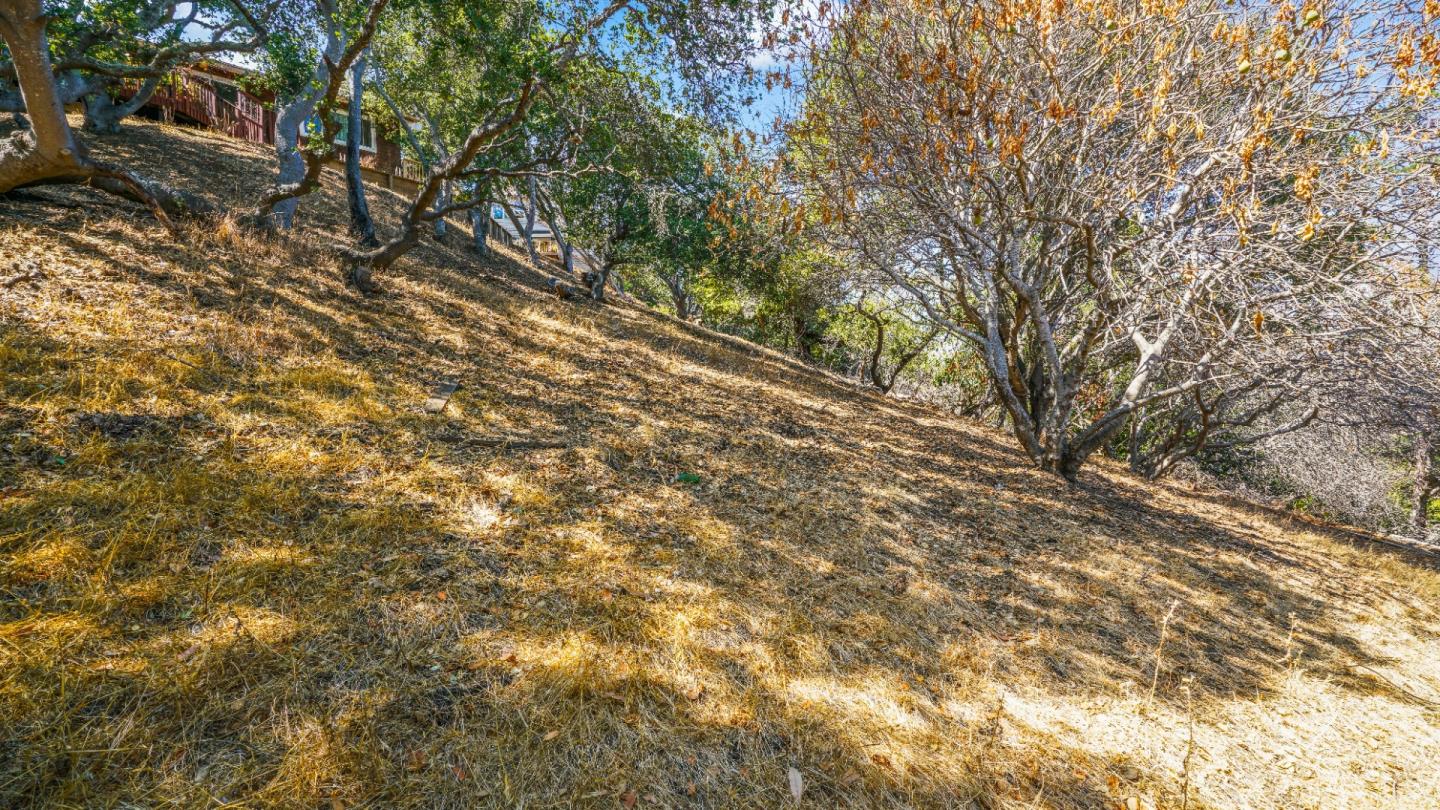 1260 Talbryn Drive, BELMONT, California 94002, ,Lots And Land,For Sale,Talbryn Drive,40967455