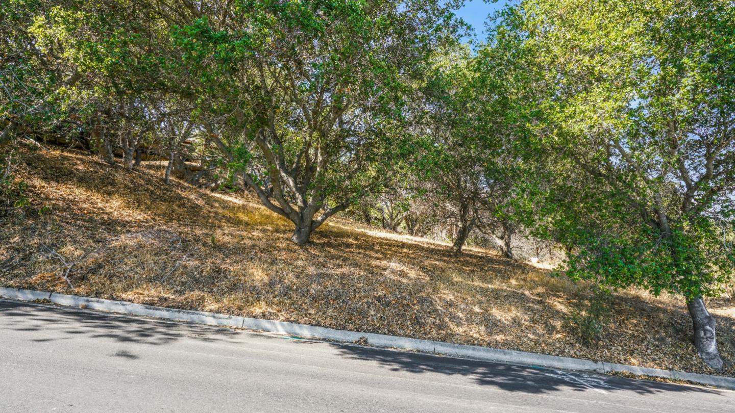 1260 Talbryn Drive, BELMONT, California 94002, ,Lots And Land,For Sale,Talbryn Drive,40967455