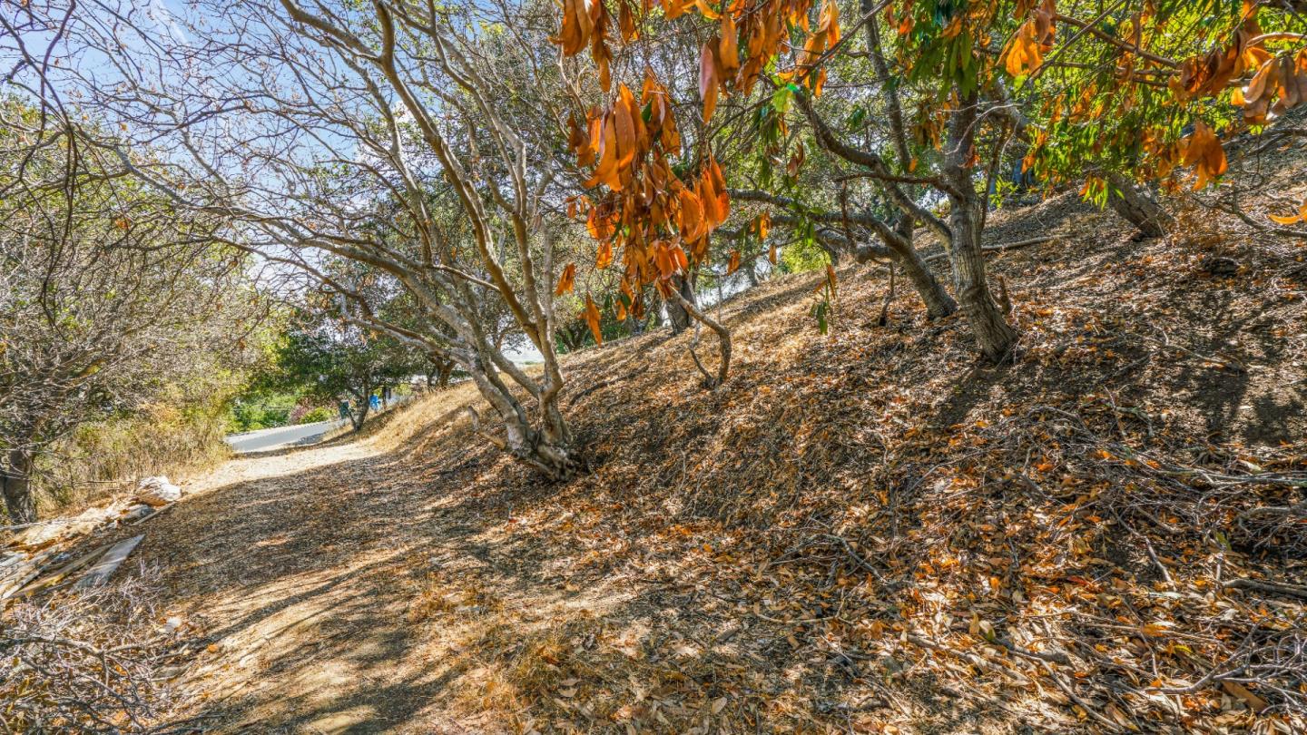 1260 Talbryn Drive, BELMONT, California 94002, ,Lots And Land,For Sale,Talbryn Drive,40967455