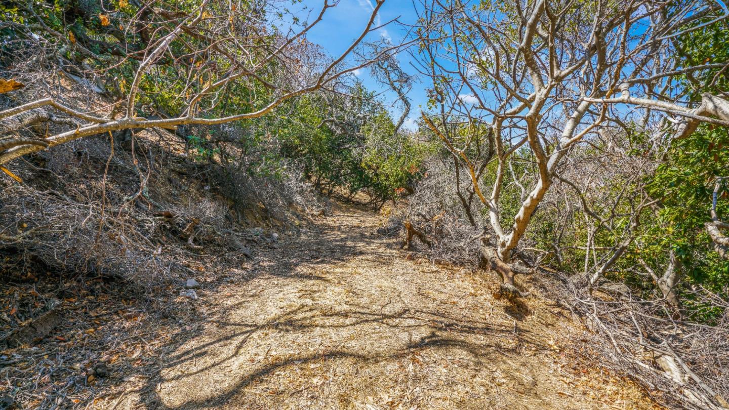 1260 Talbryn Drive, BELMONT, California 94002, ,Lots And Land,For Sale,Talbryn Drive,40967455