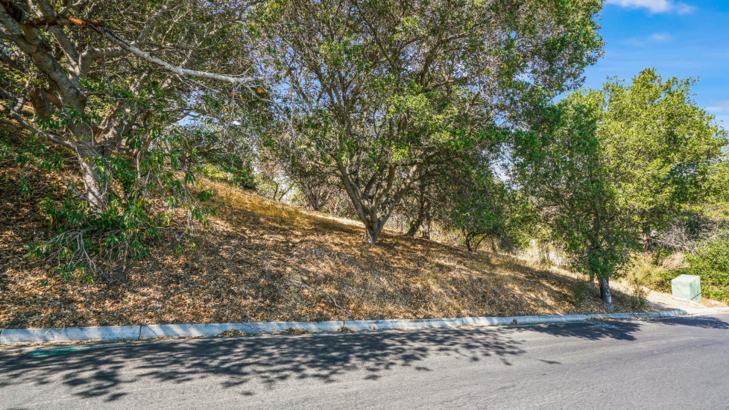 1260 Talbryn Drive, BELMONT, California 94002, ,Lots And Land,For Sale,Talbryn Drive,40967455