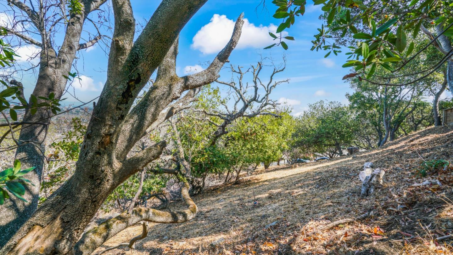 1260 Talbryn Drive, BELMONT, California 94002, ,Lots And Land,For Sale,Talbryn Drive,40967455