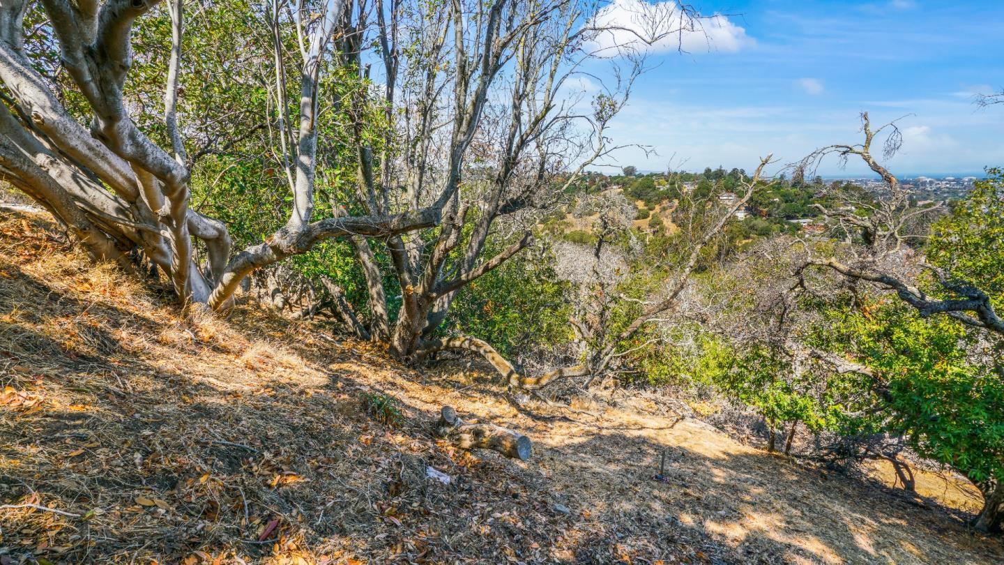 1260 Talbryn Drive, BELMONT, California 94002, ,Lots And Land,For Sale,Talbryn Drive,40967455