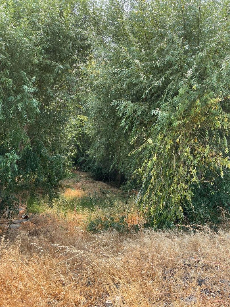 2340 DUTCH SLOUGH ROAD Road, OAKLEY, California 94561, ,Lots And Land,For Sale,DUTCH SLOUGH ROAD Road,40967456