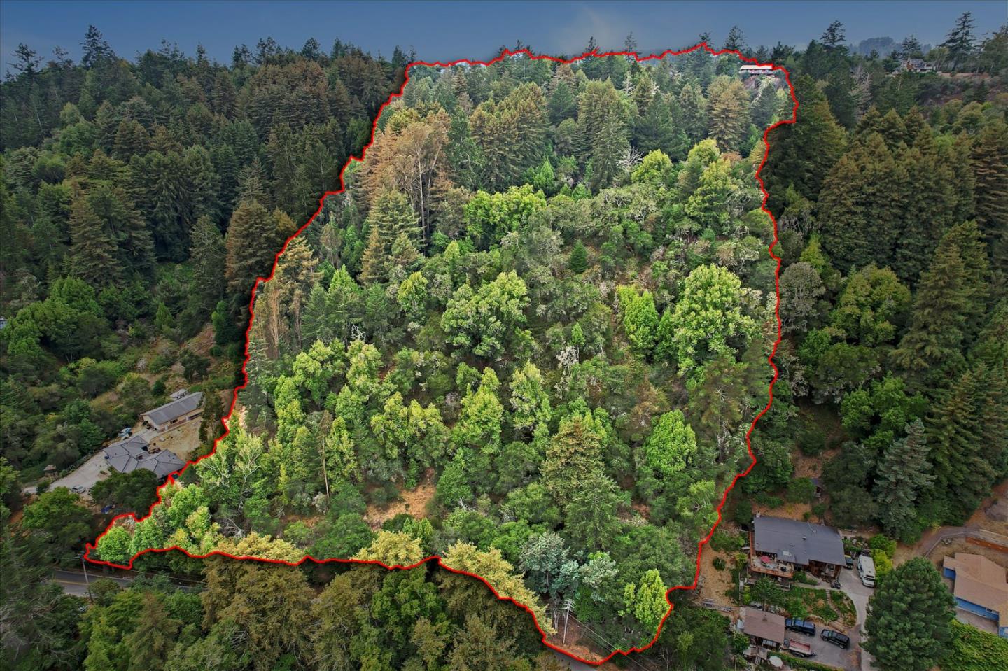 1555 Branciforte Drive, SANTA CRUZ, California 95065, ,Lots And Land,For Sale,Branciforte Drive,40967465