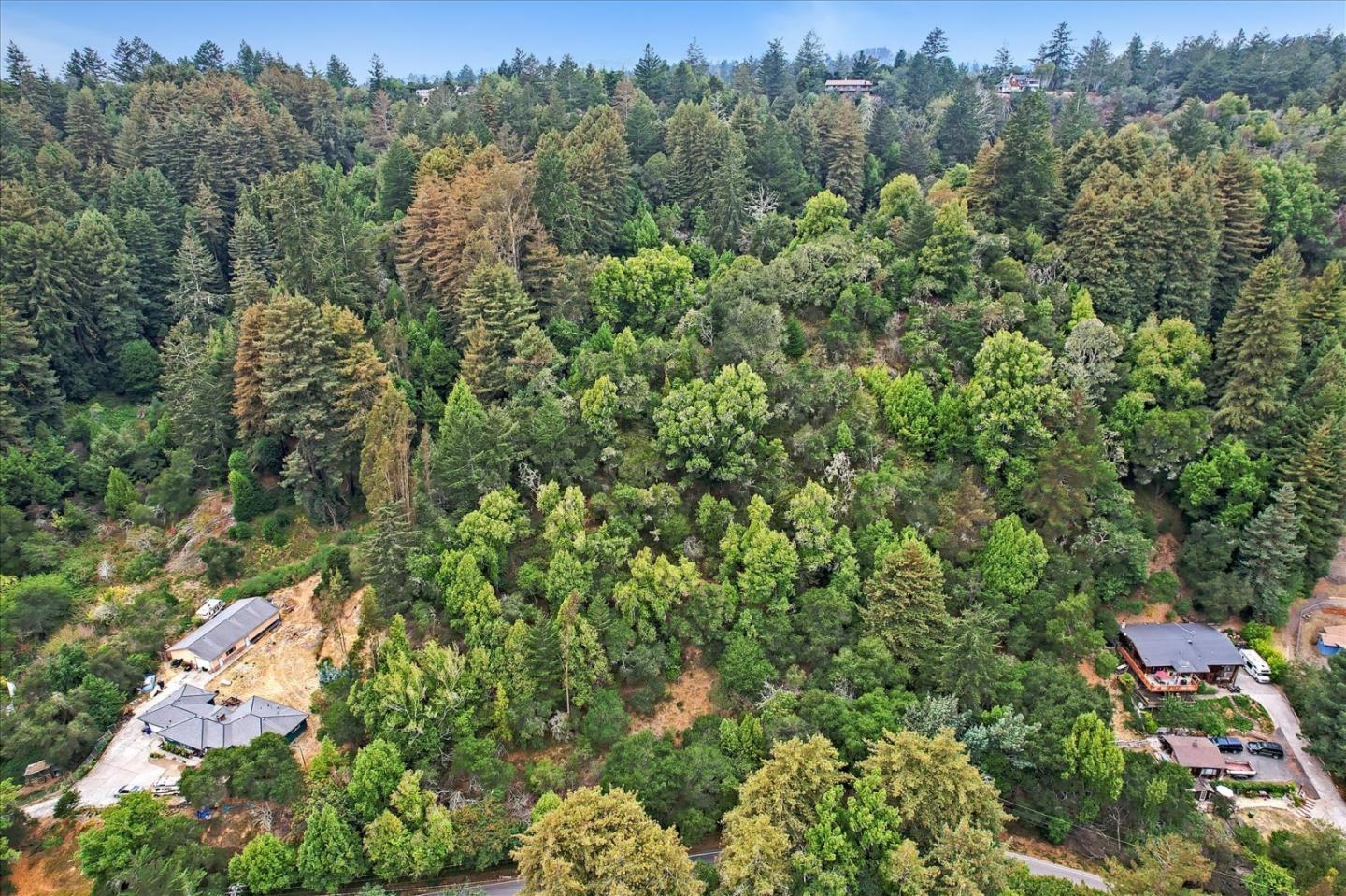 1555 Branciforte Drive, SANTA CRUZ, California 95065, ,Lots And Land,For Sale,Branciforte Drive,40967465