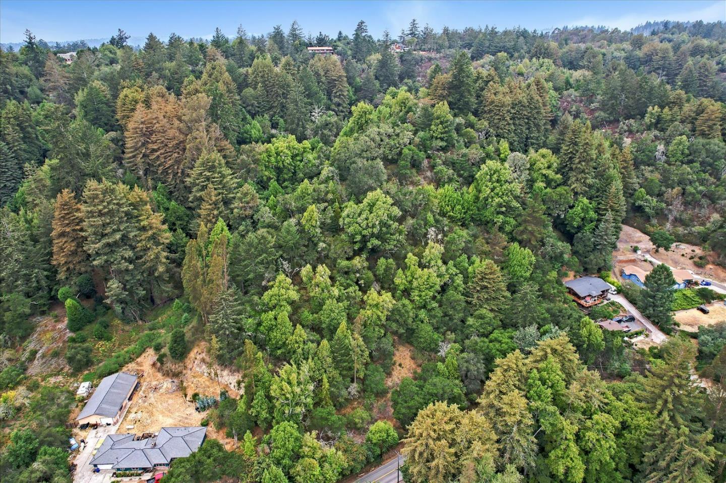 1555 Branciforte Drive, SANTA CRUZ, California 95065, ,Lots And Land,For Sale,Branciforte Drive,40967465