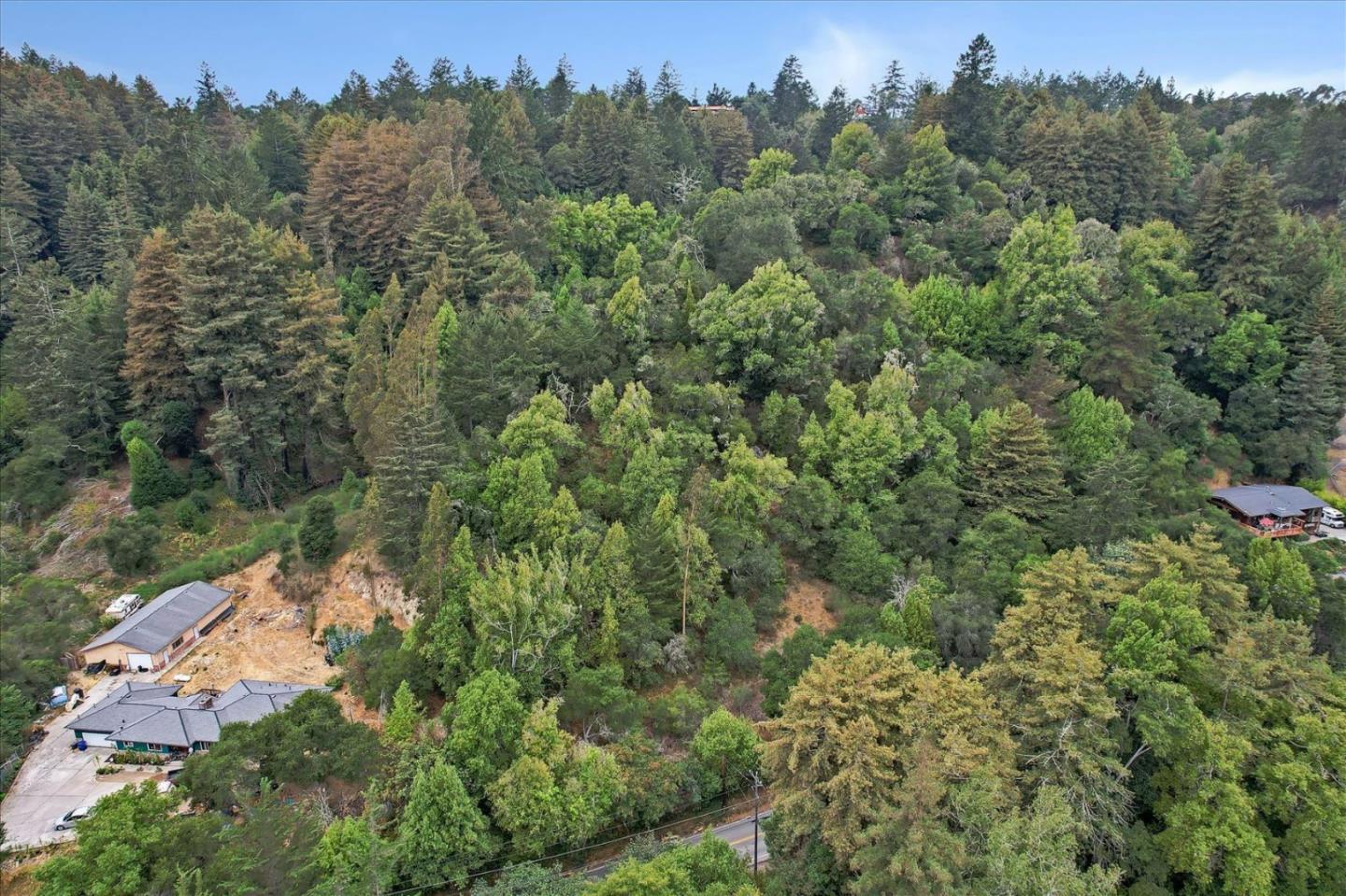 1555 Branciforte Drive, SANTA CRUZ, California 95065, ,Lots And Land,For Sale,Branciforte Drive,40967465