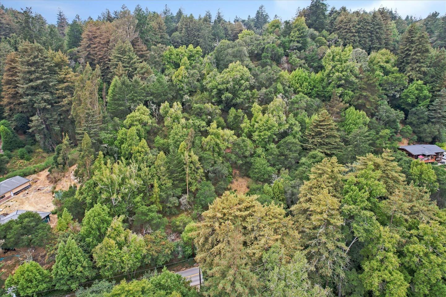 1555 Branciforte Drive, SANTA CRUZ, California 95065, ,Lots And Land,For Sale,Branciforte Drive,40967465