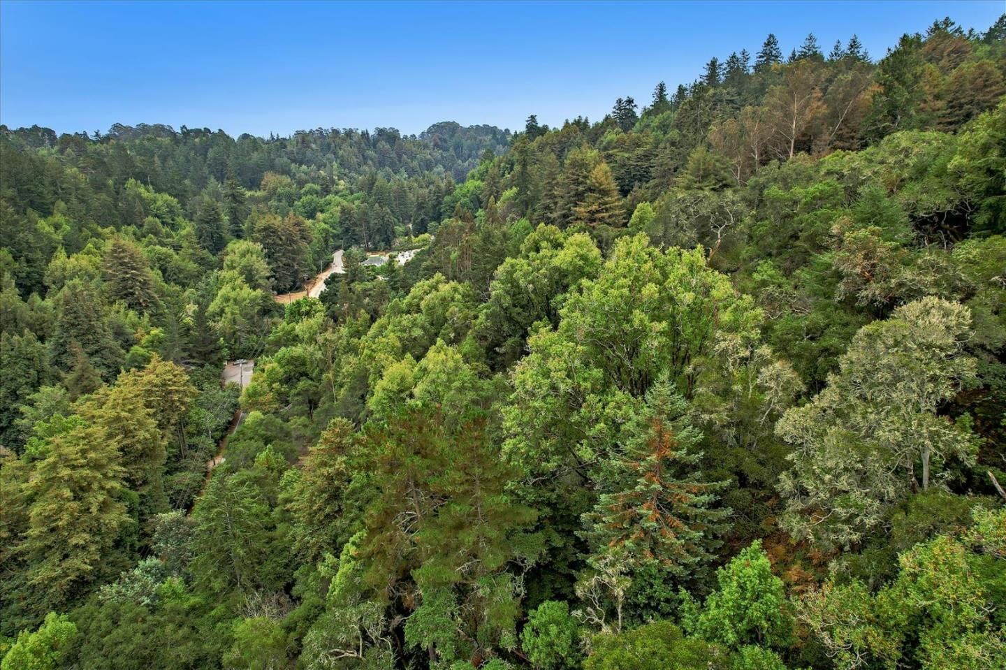 1555 Branciforte Drive, SANTA CRUZ, California 95065, ,Lots And Land,For Sale,Branciforte Drive,40967465