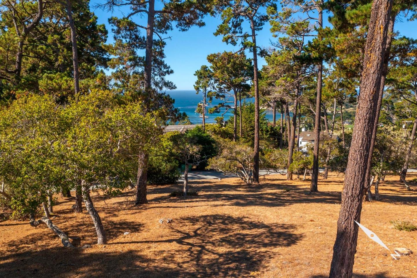 1573 Riata Road, PEBBLE BEACH, California 93953, ,Lots And Land,For Sale,Riata Road,40967466