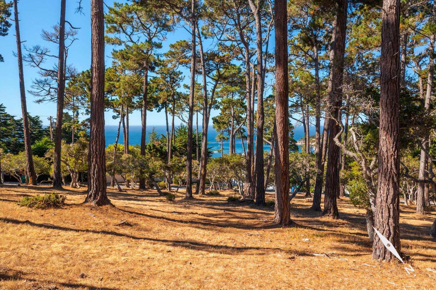 1573 Riata Road, PEBBLE BEACH, California 93953, ,Lots And Land,For Sale,Riata Road,40967466