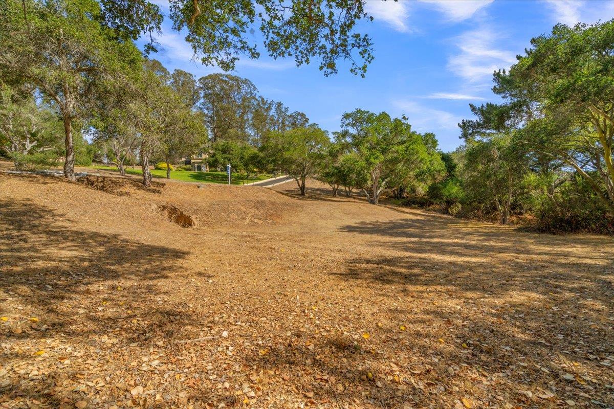 7190 Azzelio Way, SALINAS, California 93907, ,Lots And Land,For Sale,Azzelio Way,40967502