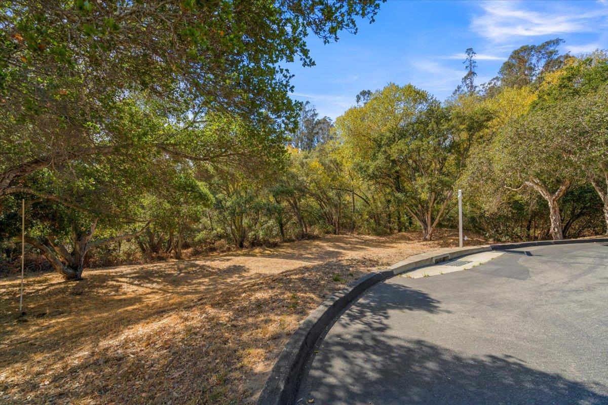 7190 Azzelio Way, SALINAS, California 93907, ,Lots And Land,For Sale,Azzelio Way,40967502