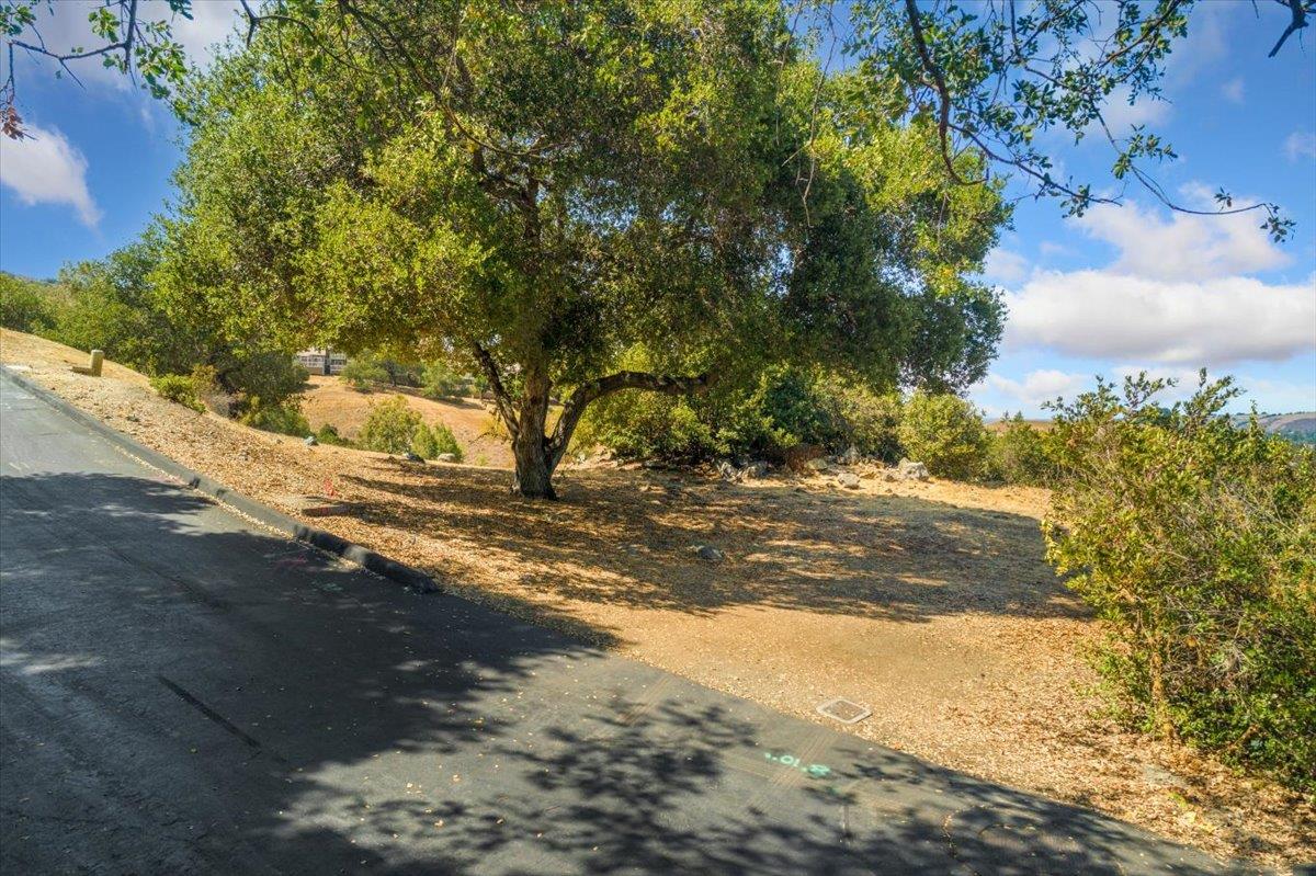 7289 Via Brezzo, SAN JOSE, California 95120, ,Lots And Land,For Sale,Via Brezzo,40967504