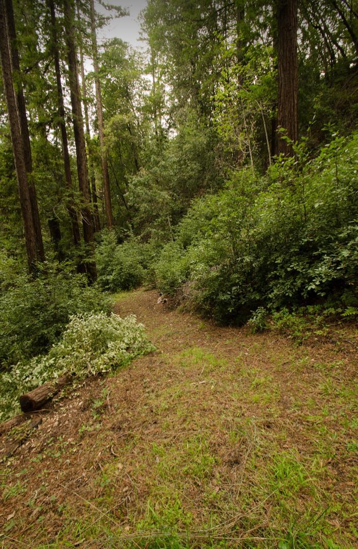 14985 Fern Avenue, BOULDER CREEK, California 95006, ,Lots And Land,For Sale,Fern Avenue,40967514
