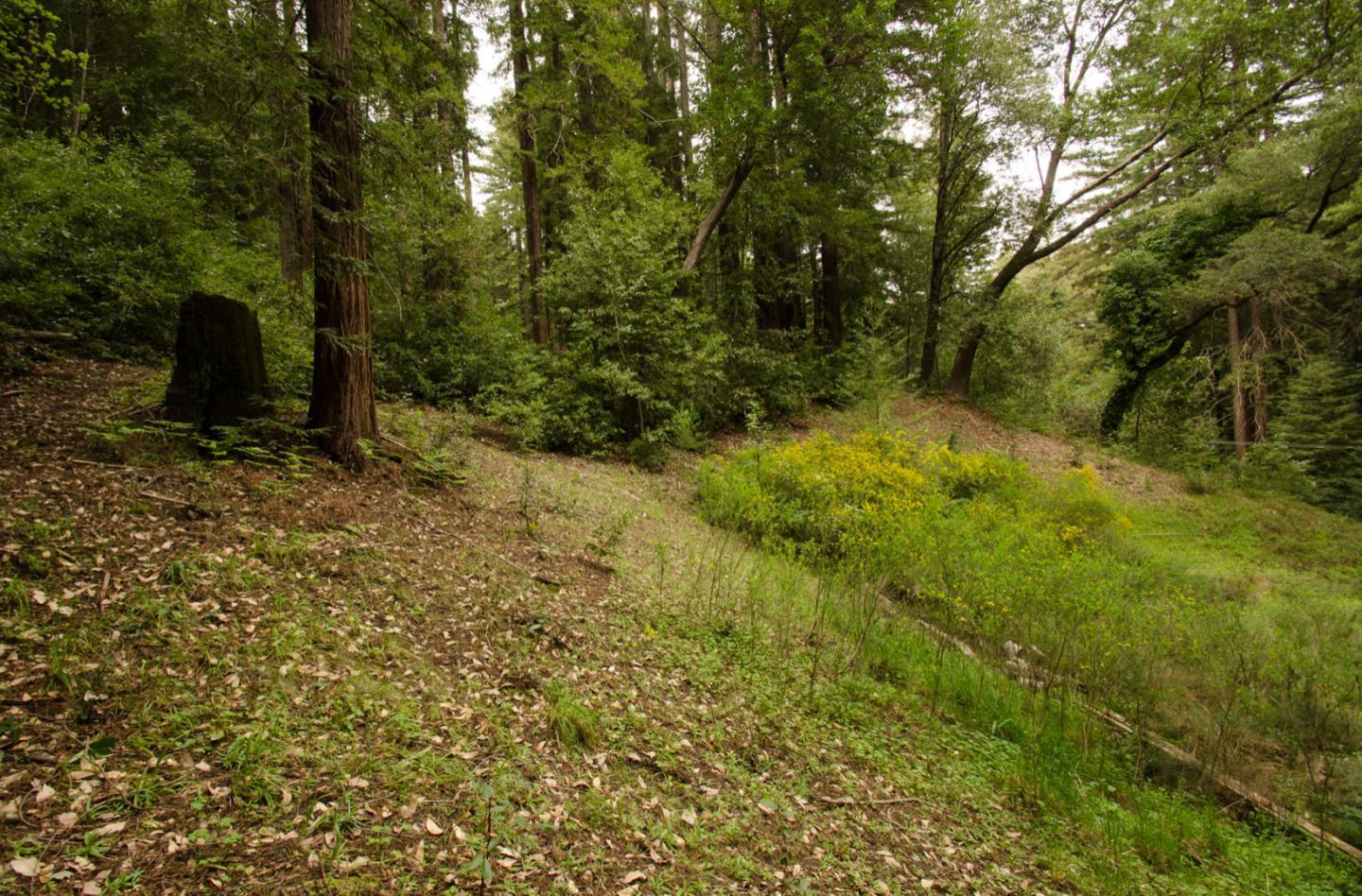 14985 Fern Avenue, BOULDER CREEK, California 95006, ,Lots And Land,For Sale,Fern Avenue,40967514