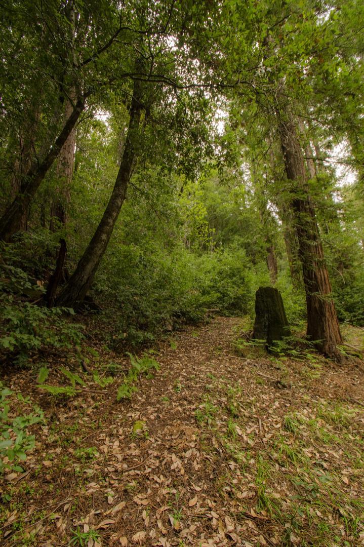 14985 Fern Avenue, BOULDER CREEK, California 95006, ,Lots And Land,For Sale,Fern Avenue,40967514