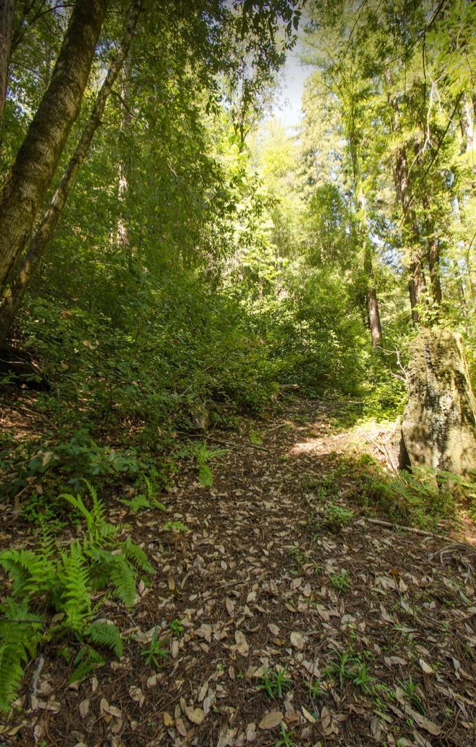 14985 Fern Avenue, BOULDER CREEK, California 95006, ,Lots And Land,For Sale,Fern Avenue,40967514