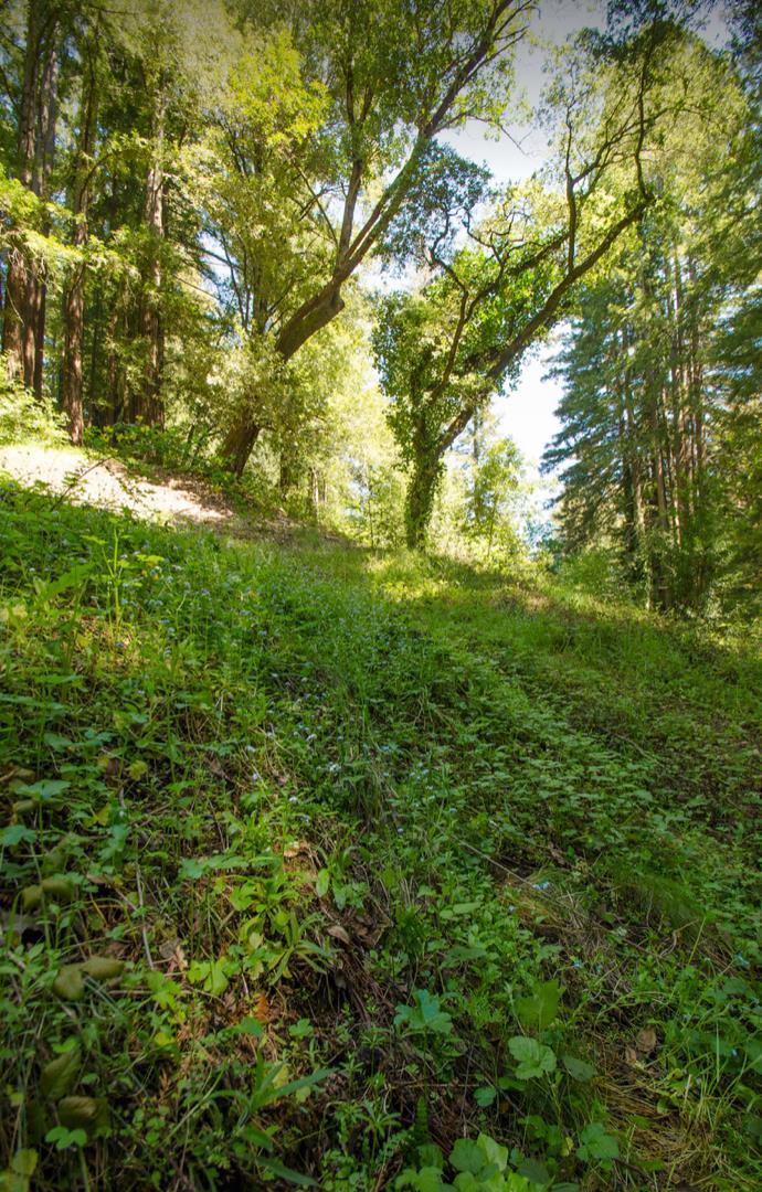 14985 Fern Avenue, BOULDER CREEK, California 95006, ,Lots And Land,For Sale,Fern Avenue,40967514
