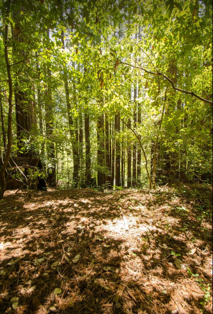 14985 Fern Avenue, BOULDER CREEK, California 95006, ,Lots And Land,For Sale,Fern Avenue,40967514