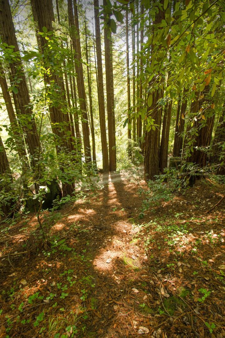 14985 Fern Avenue, BOULDER CREEK, California 95006, ,Lots And Land,For Sale,Fern Avenue,40967514