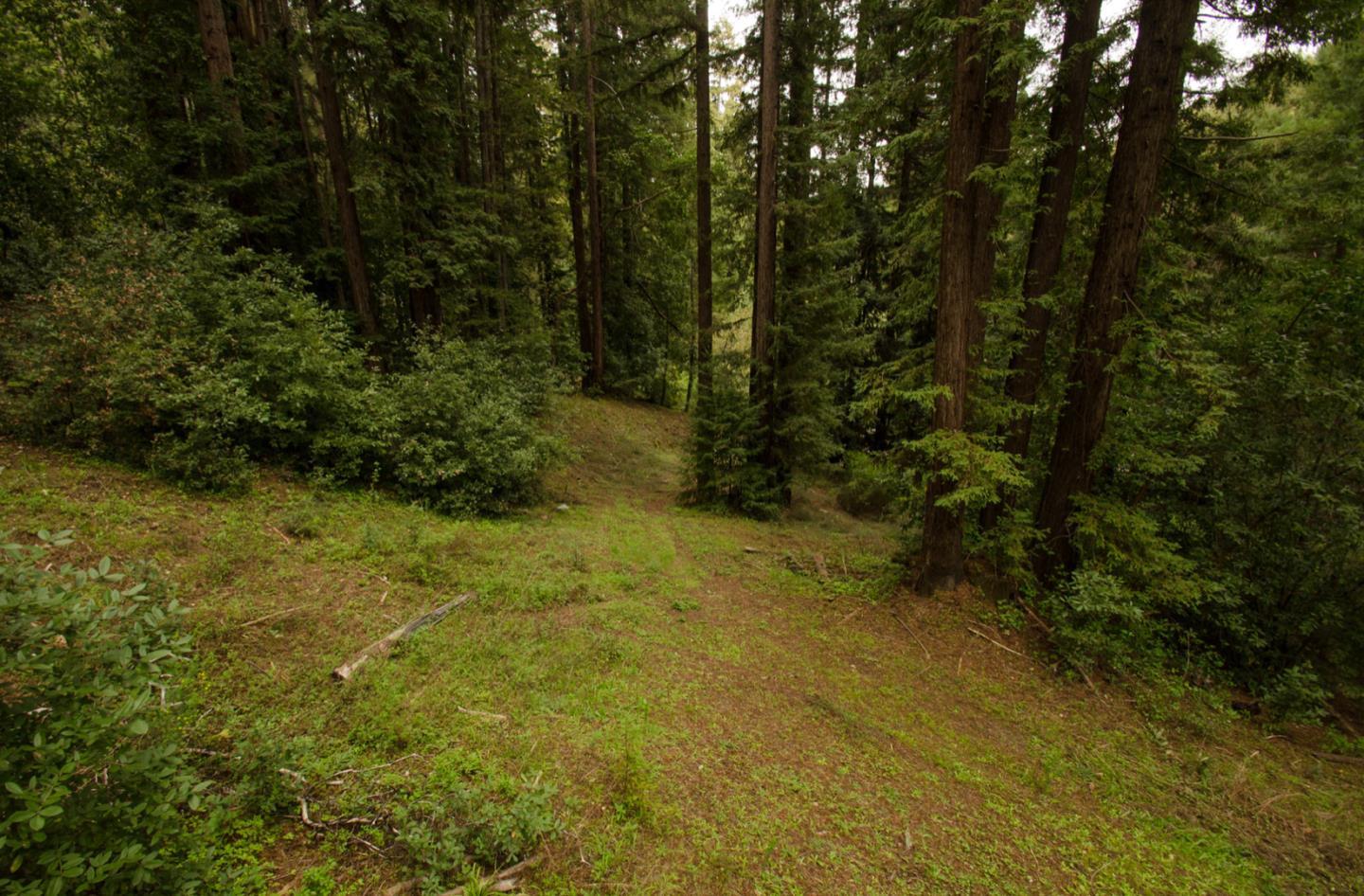 14985 Fern Avenue, BOULDER CREEK, California 95006, ,Lots And Land,For Sale,Fern Avenue,40967514
