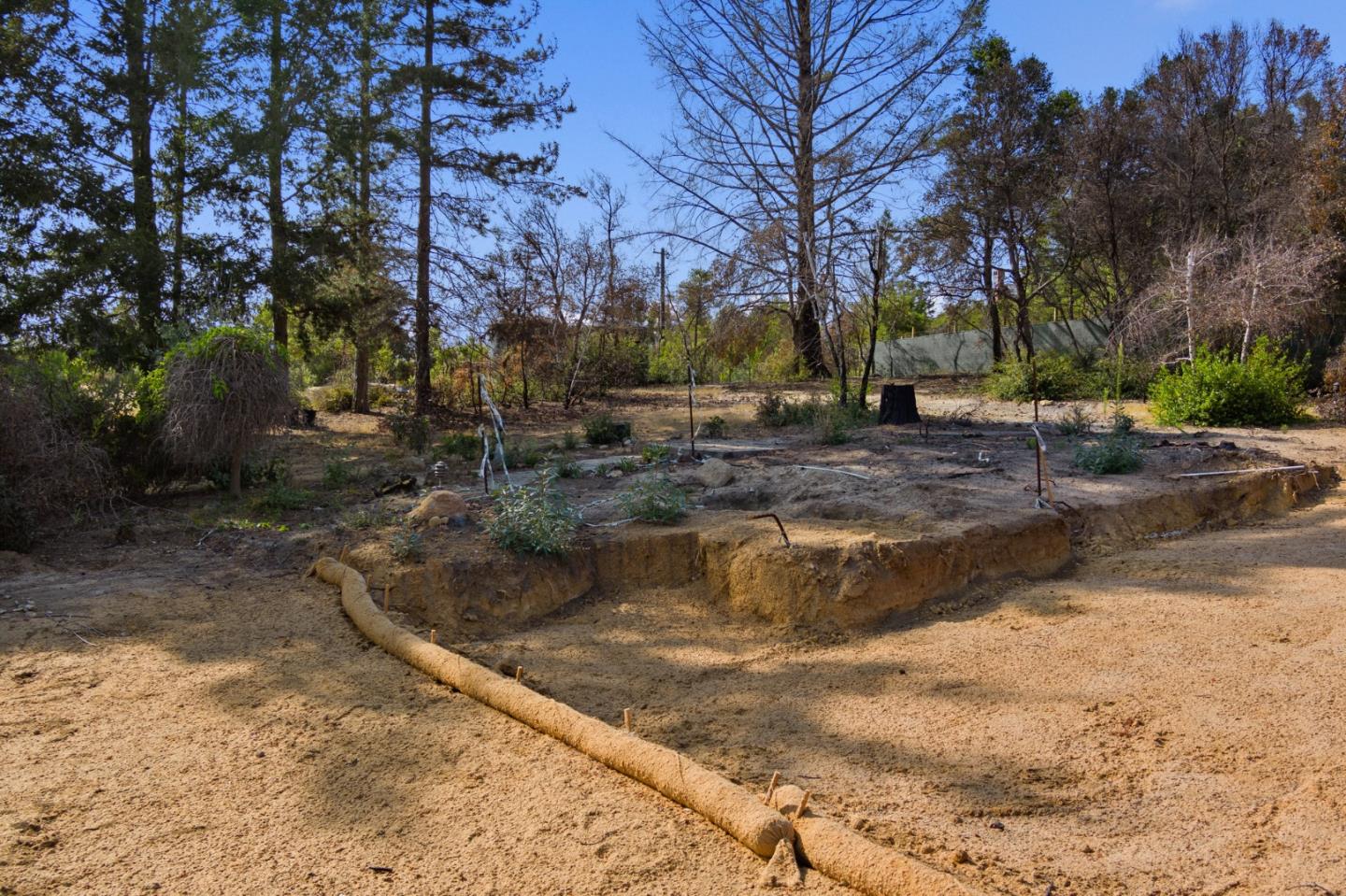 80 Pine Hill Drive, SANTA CRUZ, California 95060, ,Lots And Land,For Sale,Pine Hill Drive,40967515