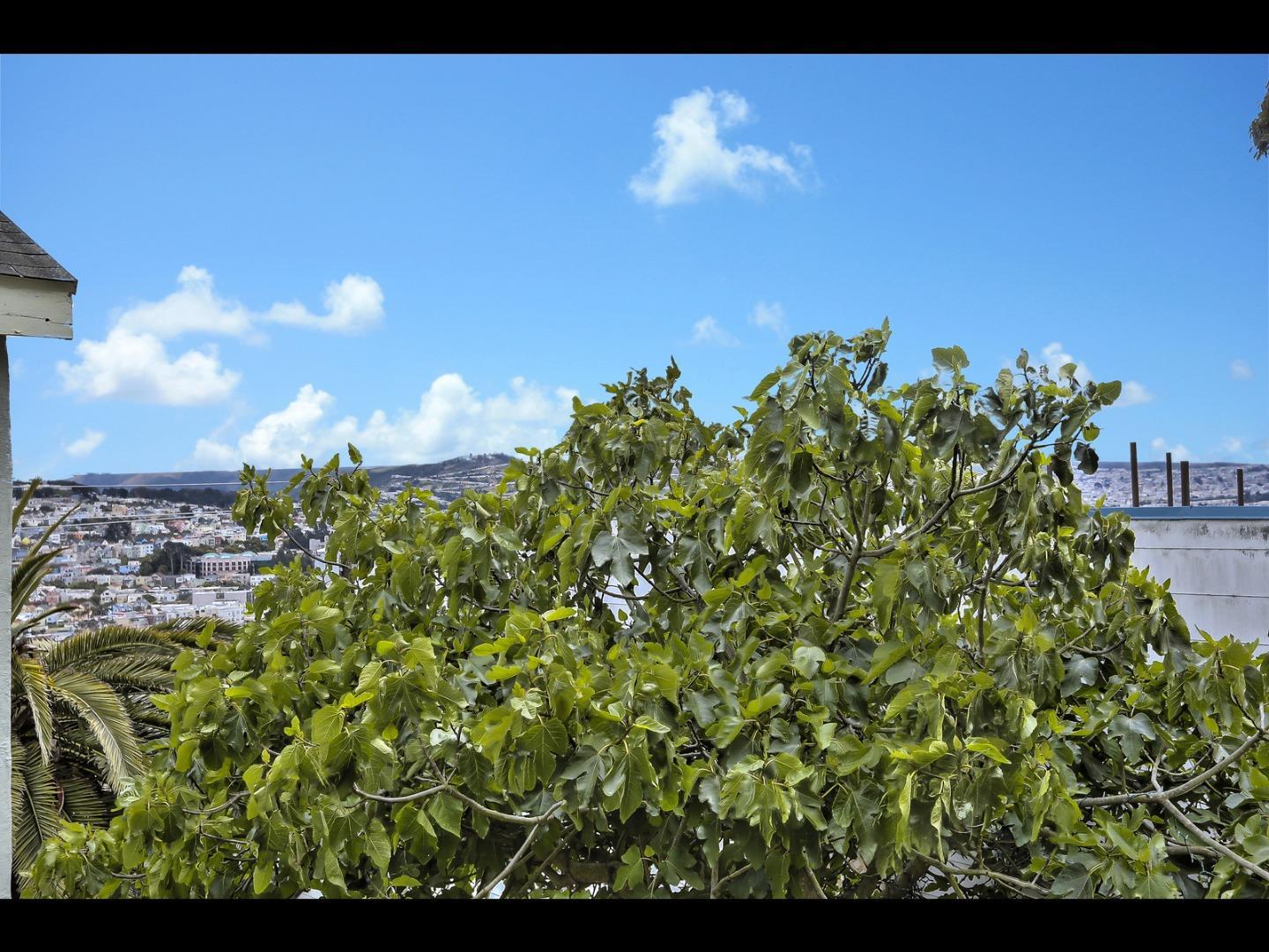 256 Bemis Street, SAN FRANCISCO, California 94131, ,Lots And Land,For Sale,Bemis Street,40967518