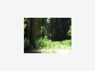104 Mcpherson Court, BOULDER CREEK, California 95006, ,Lots And Land,For Sale,Mcpherson Court,40967699