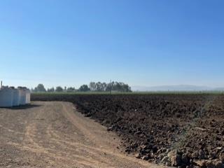 8905 Marcella Avenue, GILROY, California 95020, ,Lots And Land,For Sale,Marcella Avenue,40967700