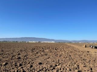 8905 Marcella Avenue, GILROY, California 95020, ,Lots And Land,For Sale,Marcella Avenue,40967700