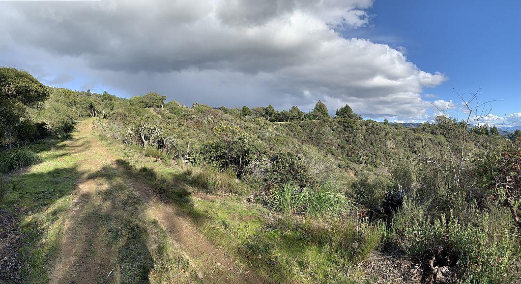 0 Apple Valley, CORRALITOS (WATSONVILLE), California 95076, ,Lots And Land,For Sale,Apple Valley,40967701