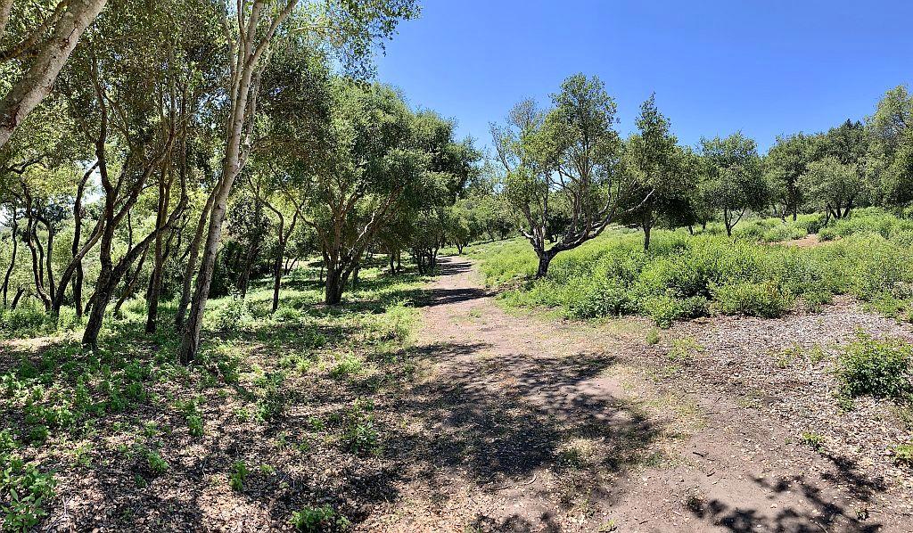 0 Apple Valley, CORRALITOS (WATSONVILLE), California 95076, ,Lots And Land,For Sale,Apple Valley,40967701