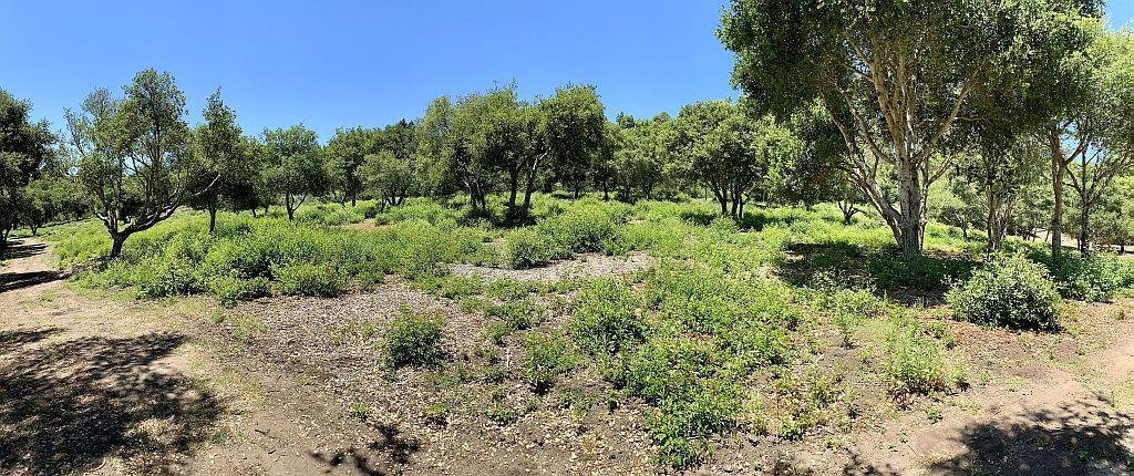 0 Apple Valley, CORRALITOS (WATSONVILLE), California 95076, ,Lots And Land,For Sale,Apple Valley,40967701