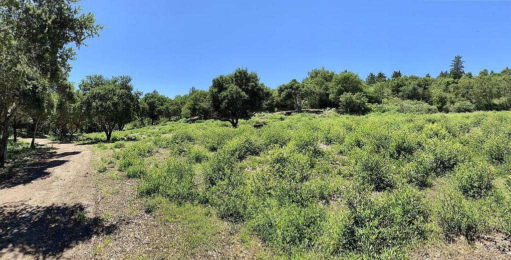 0 Apple Valley, CORRALITOS (WATSONVILLE), California 95076, ,Lots And Land,For Sale,Apple Valley,40967701