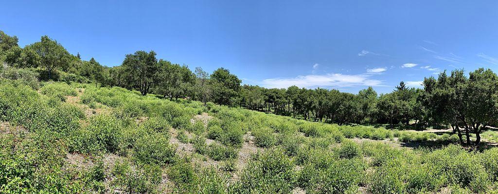 0 Apple Valley, CORRALITOS (WATSONVILLE), California 95076, ,Lots And Land,For Sale,Apple Valley,40967701