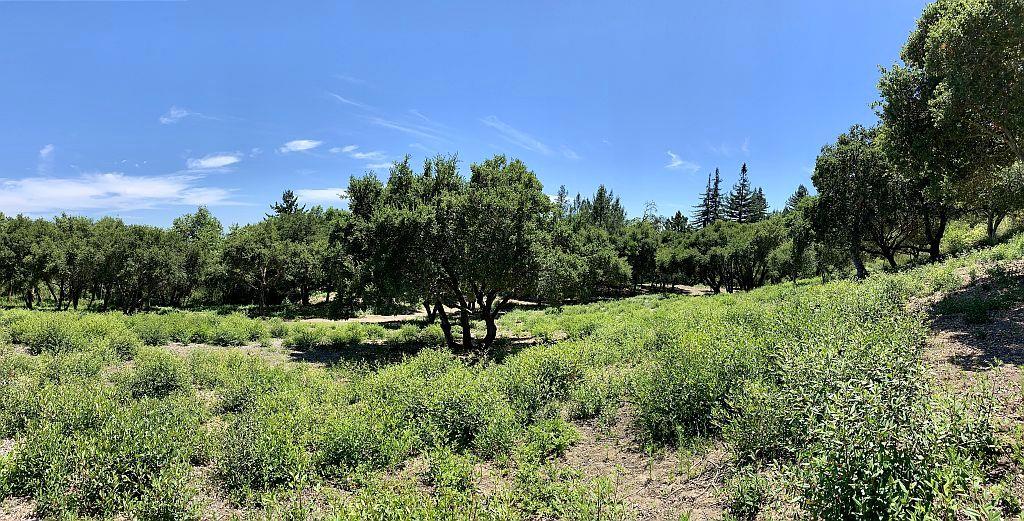 0 Apple Valley, CORRALITOS (WATSONVILLE), California 95076, ,Lots And Land,For Sale,Apple Valley,40967701