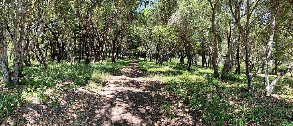 0 Apple Valley, CORRALITOS (WATSONVILLE), California 95076, ,Lots And Land,For Sale,Apple Valley,40967701