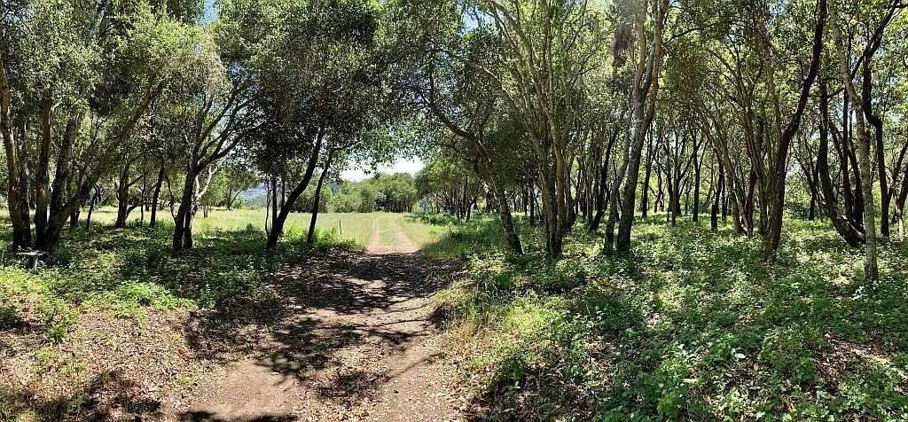 0 Apple Valley, CORRALITOS (WATSONVILLE), California 95076, ,Lots And Land,For Sale,Apple Valley,40967701