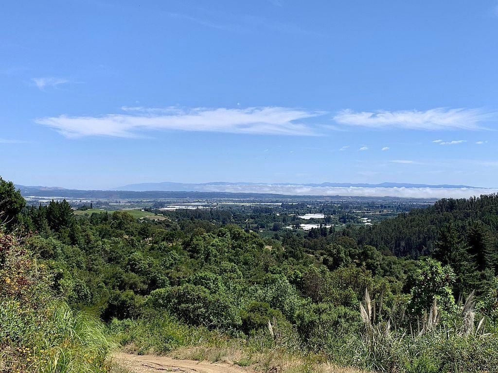 0 Apple Valley, CORRALITOS (WATSONVILLE), California 95076, ,Lots And Land,For Sale,Apple Valley,40967701